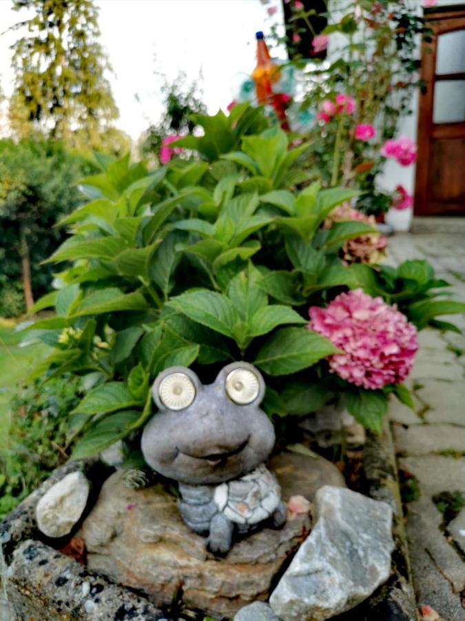 Pension Treissmann Pichling bei Stainz 外观 照片